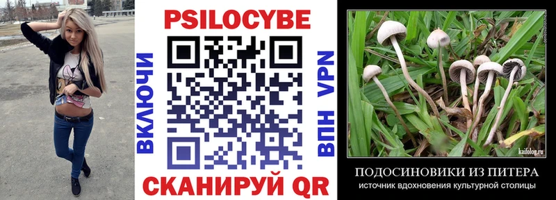 Галлюциногенные грибы мицелий  где найти наркотики  Бикин 